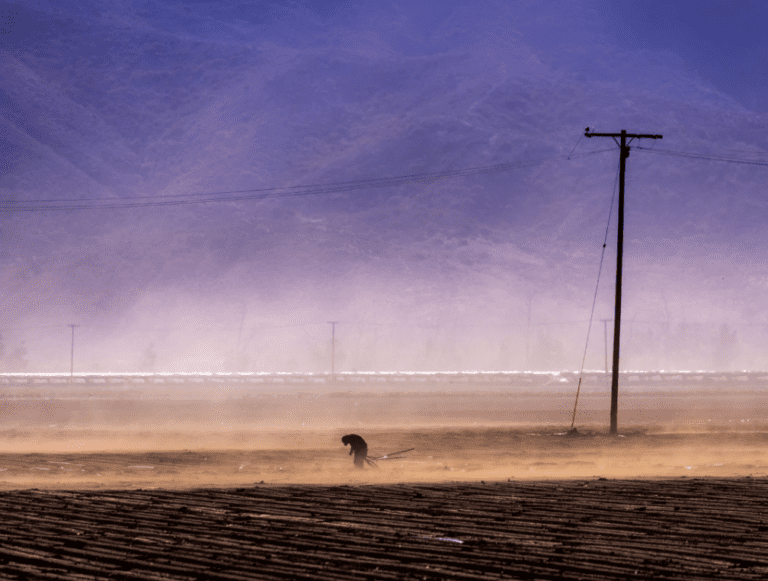 A farmworker laboring through high winds near a brush fire in Camarillo in 2005.